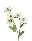 Faux Flowers - Hellebore Spray | Cream