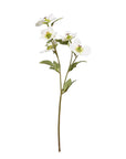 Faux Flowers - Hellebore Spray | Cream