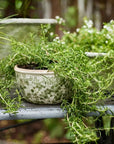 French Country Botanical Pots