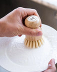 Dish Brush
