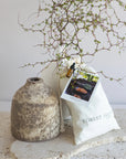 Vase with branches and a bag labeled 'Forest Folk' on a stone surface.