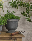 Decorative setting with potted plants on a wooden surface against a rustic wooden wall.