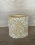 Japanese Chrysanthemum - Pillar