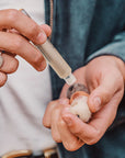 smelly balls fragrance oils