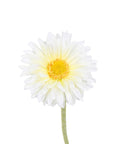 Faux Flowers - Single Mini Gerberas