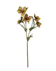 Faux Flowers - Hellebore Spray | Green