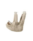 Citta Tony The Sloth