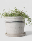 Lisbon Pot - Small