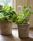 Gris Planter - Medium