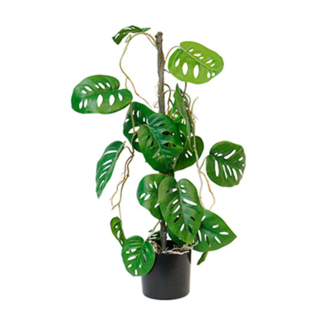 faux swiss cheese plant Faux Plant