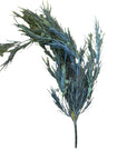 Faux Plant - Hanging Sicklethorn Fern | Shelf home and gifts