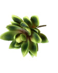 Faux Plant - Lotus Succulent | Green & Yellow