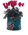 Canvas Planter 10cm - Wild Flowers