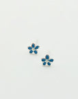 Sterling Silver Enamel Earrings - Assorted