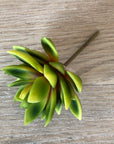 Faux Plant - Lotus Succulent | Green & Yellow