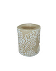 Japanese Chrysanthemum - Pillar