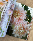Floret Farms Discovering Dahlias | shelf home and gifts