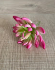 Faux Plant - Albiflora Sedum Pink