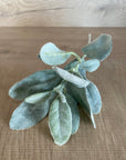 Faux Plant - Lambs Ear