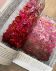 Floret Farms: A Year in Flowers: Designing Gorgeous Arrangements for Every Season