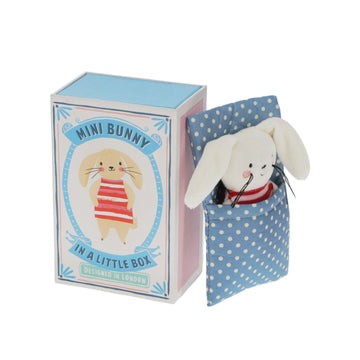Mini Bunny in a Box