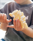 Cookie & Craft Kit | Dino Fossil