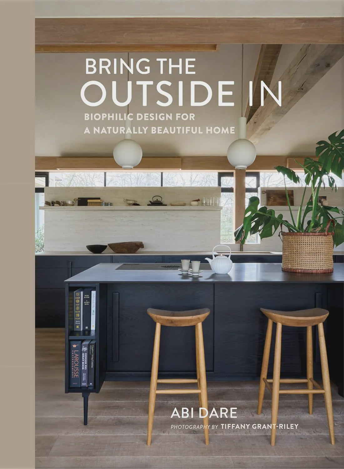 Bring the Outside In book by Abi Dare