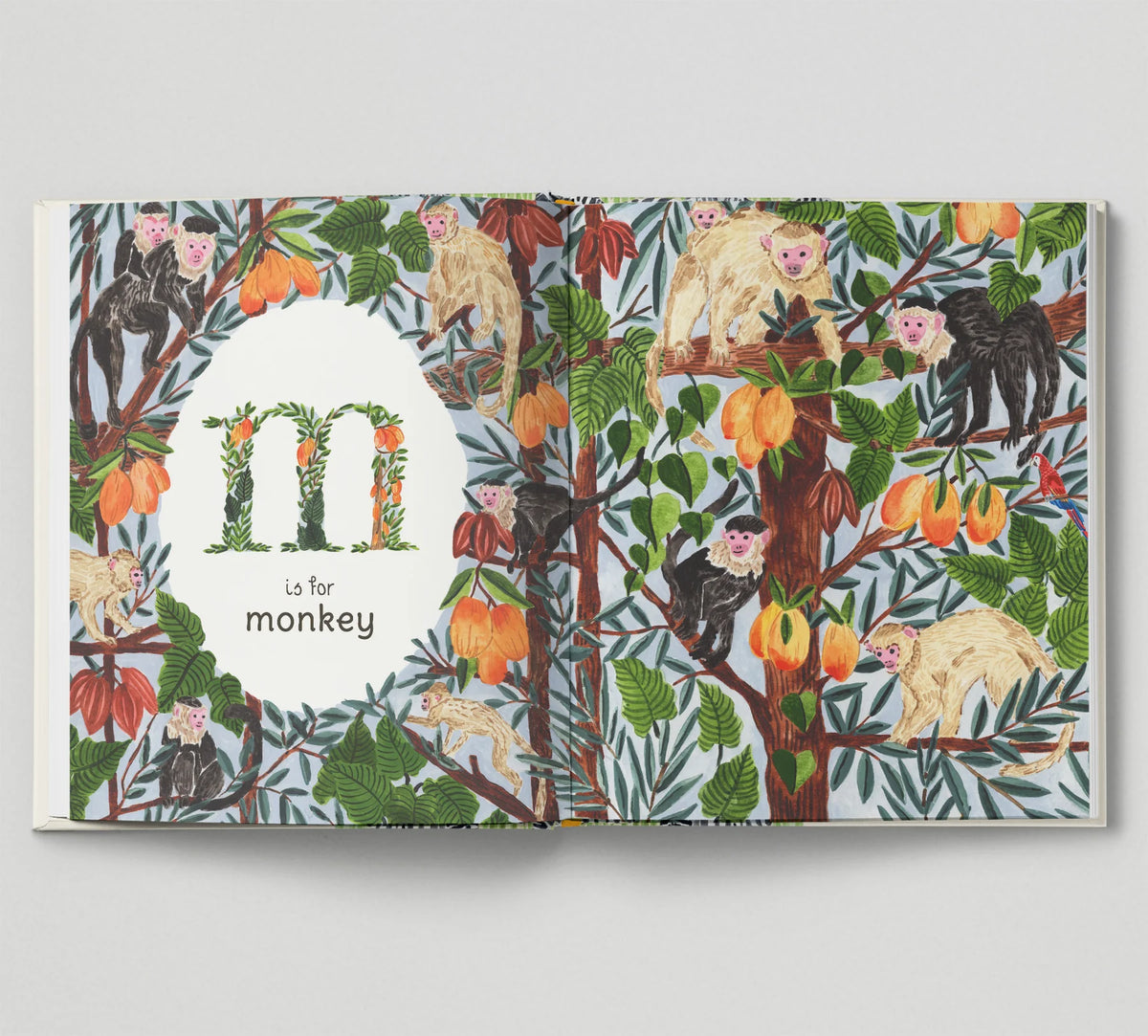 A to Z an Animal Alphabet Book