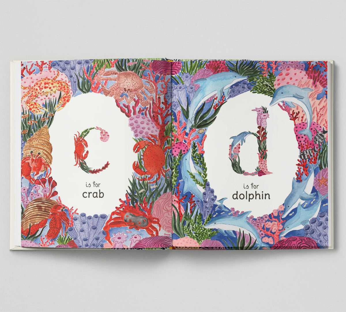 A to Z an Animal Alphabet Book