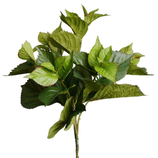 Faux Hydrangea Leaves