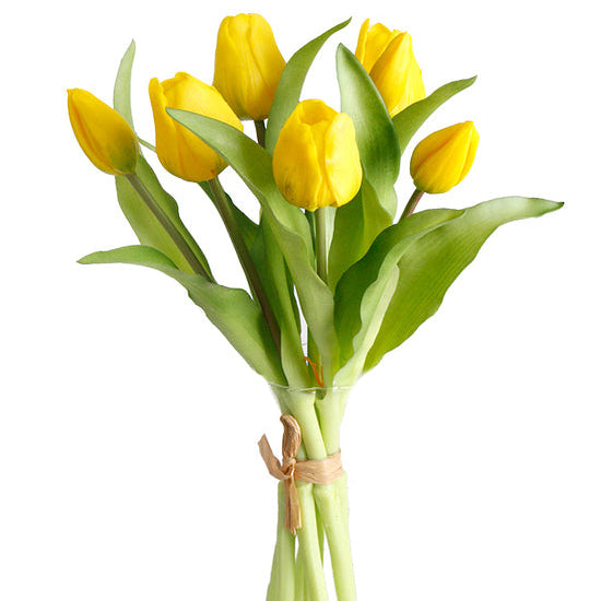 Yellow Tulip Bunch