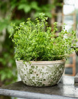 French Country Botanical Pots
