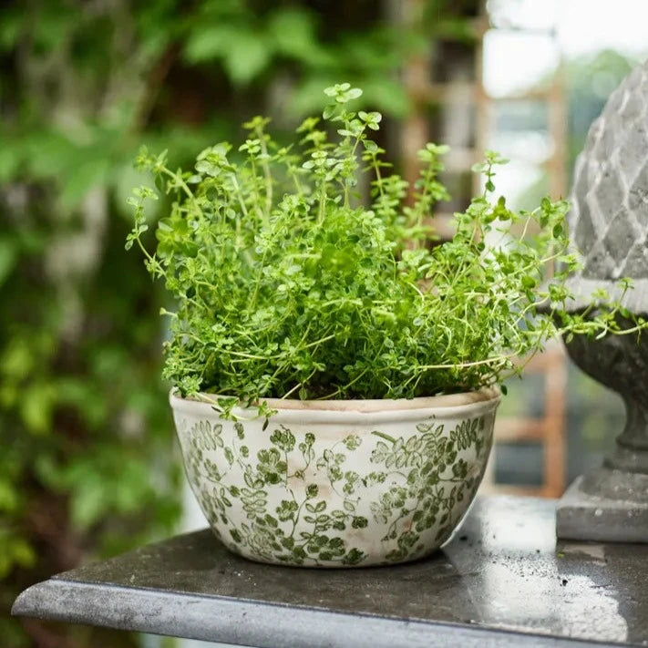 French Country Botanical Pots