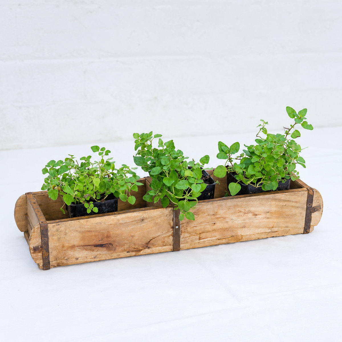 A rustic wooden planter box with four compartments, each holding a small green potted plant, photographed on a white surface against a white brick wall.