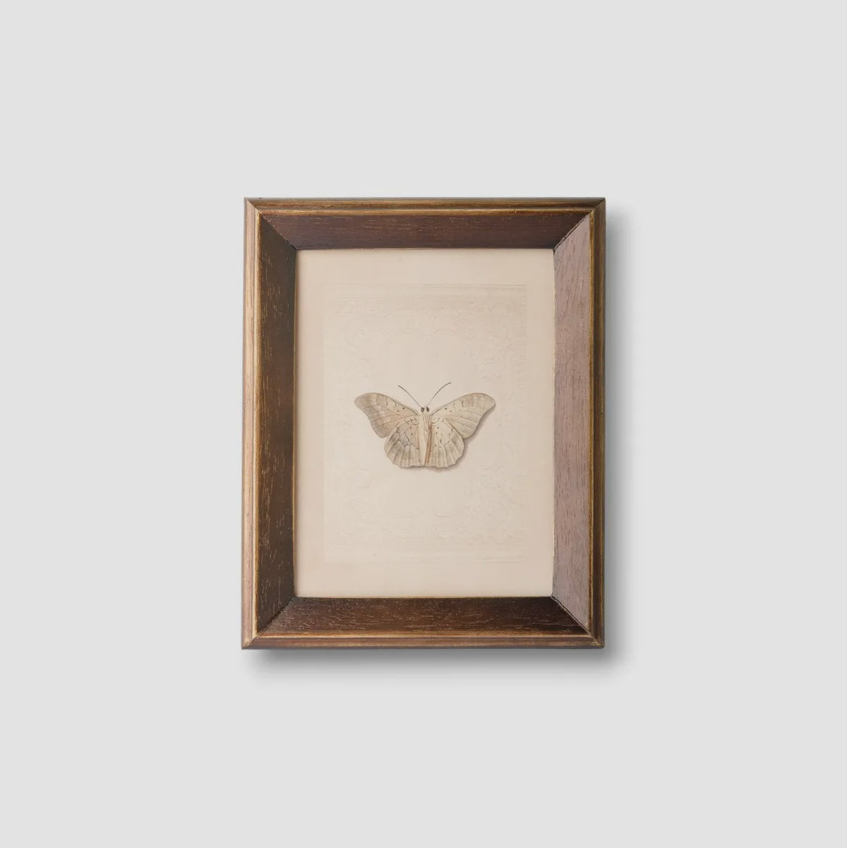 Framed artwork of a butterfly on a white background