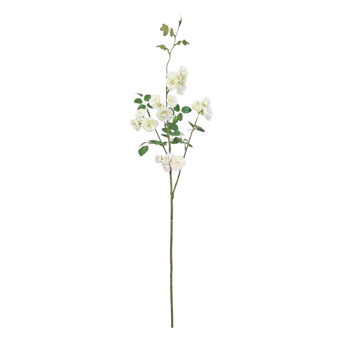 Faux Botanicals 2