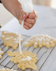 Cookie & Craft Kit | Dino Fossil