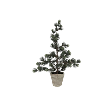 Christmas Pine Tree Dusty