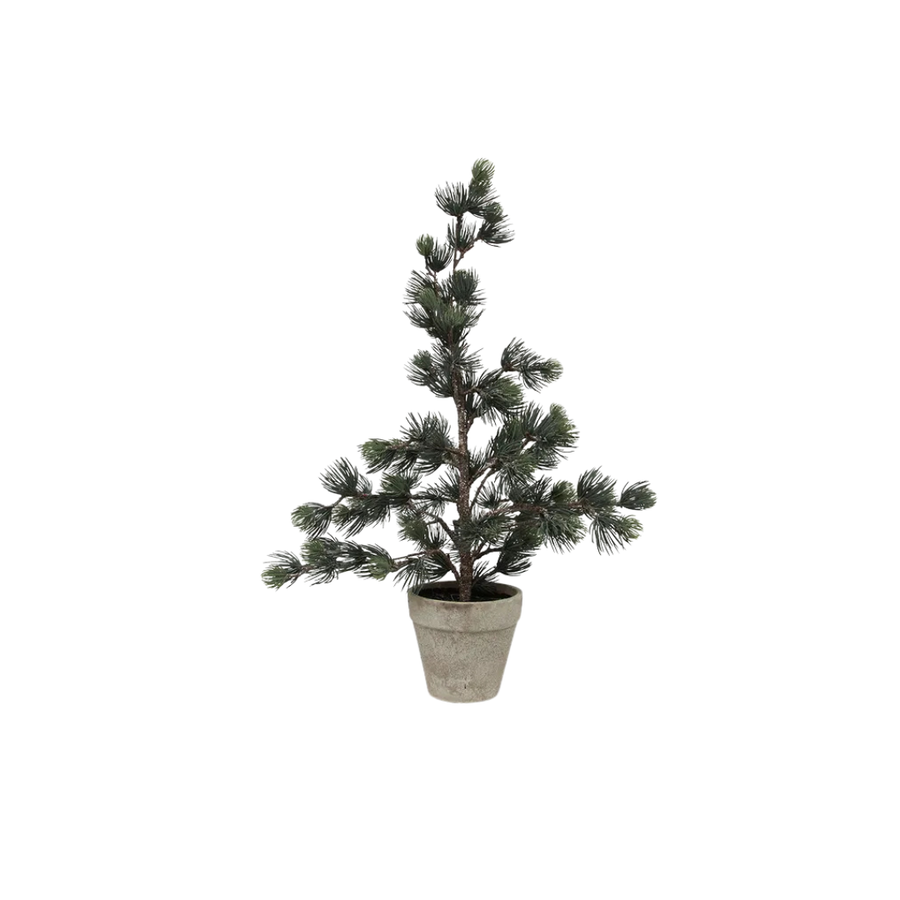 Christmas Pine Tree Dusty