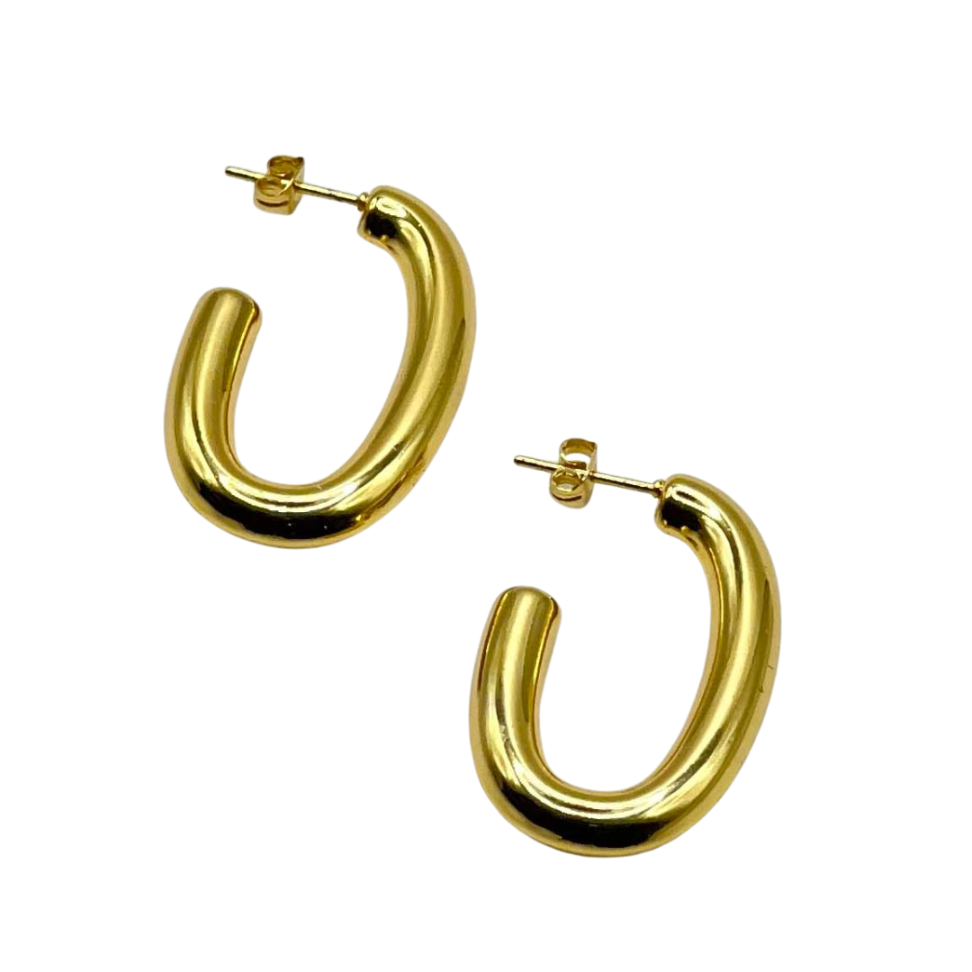 Fashion Earrings - Stainless Steel Oval Hook