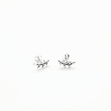 Sterling Silver Earrings - Silver Fern