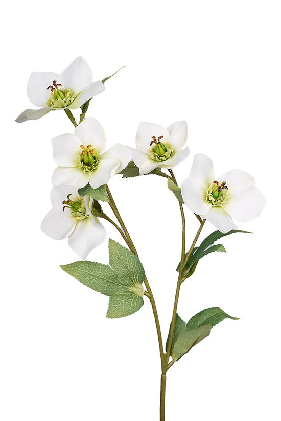 Faux Flowers - Hellebore Spray Cream