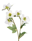 Faux Flowers - Hellebore Spray Cream