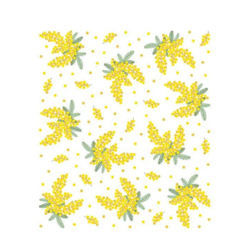 Mimosa Floral Face Cloth - nawrap