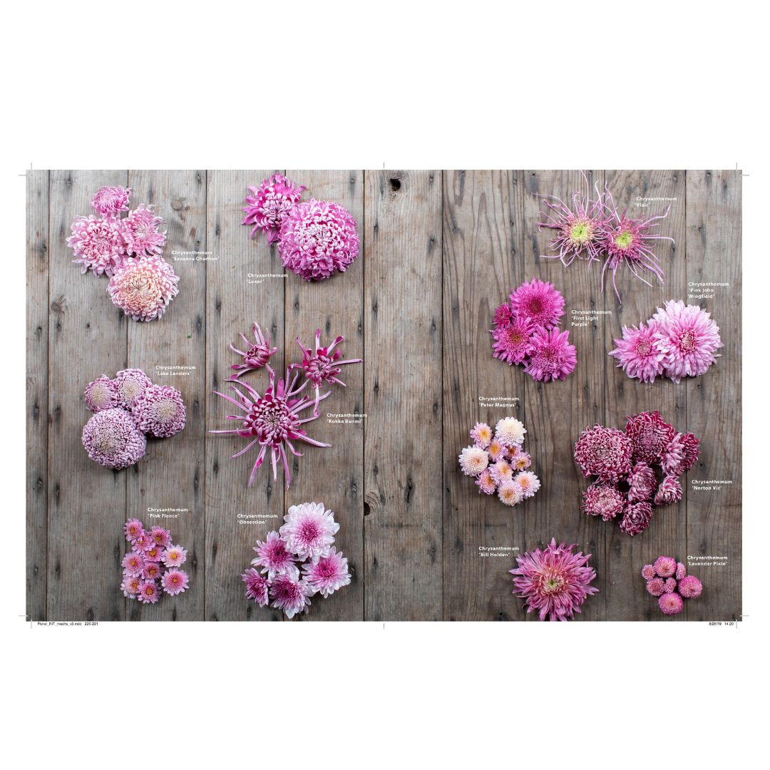 Floret Farms:  A Year in Flowers Book