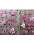 Floret Farms:  A Year in Flowers Book