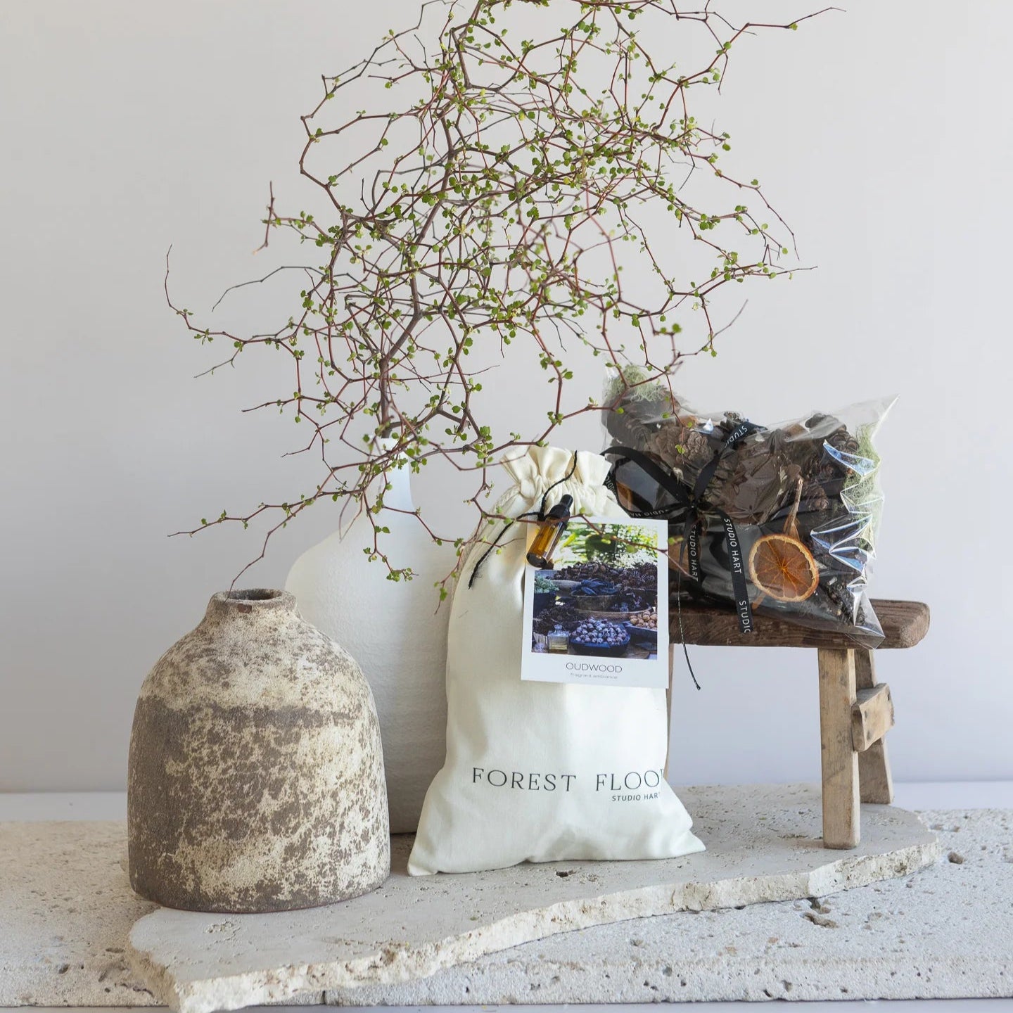 Vase with branches, bag labeled 'Forest Floor', and small wooden stool against a light background