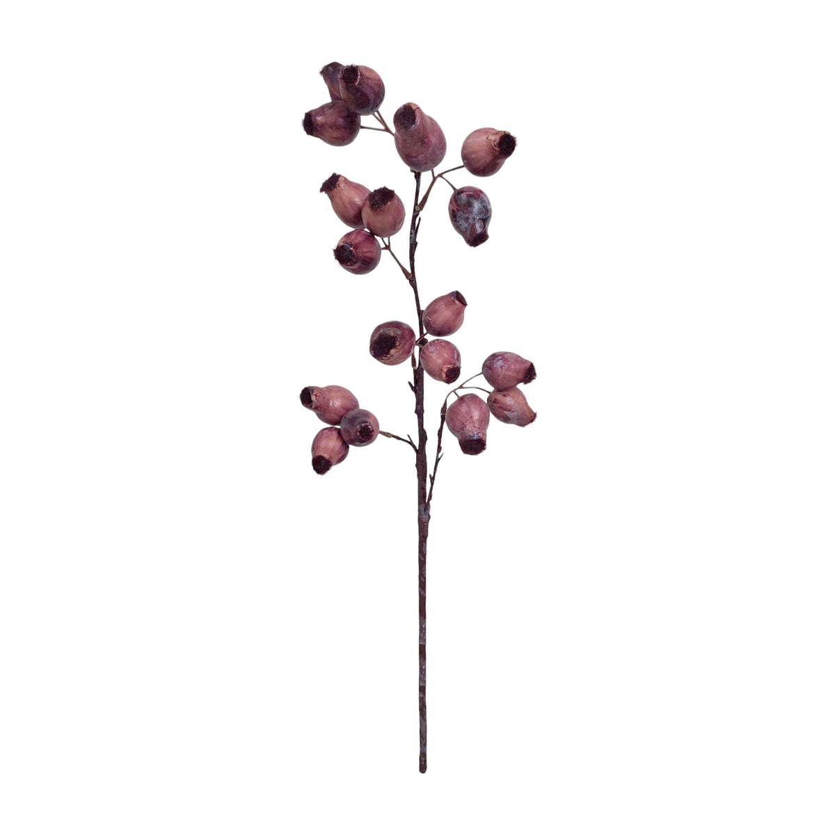 Faux Botanicals 2