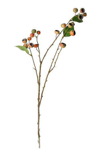 Medlar Branch Orange