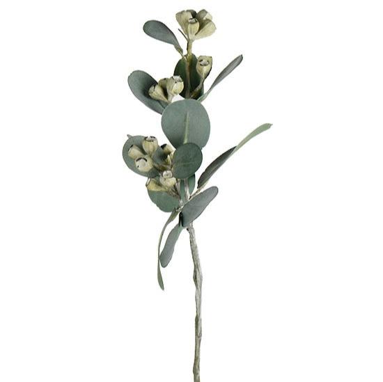 Mini Eucalyptus Pod Spray